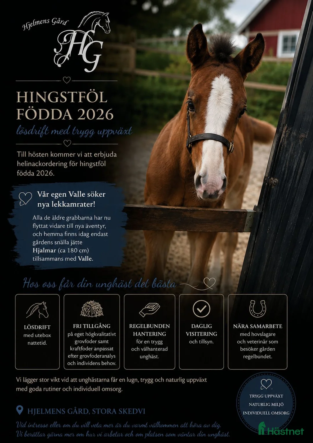  stallplats finnes: Helinackordering av föl/åringar födda-26 - Annons 1