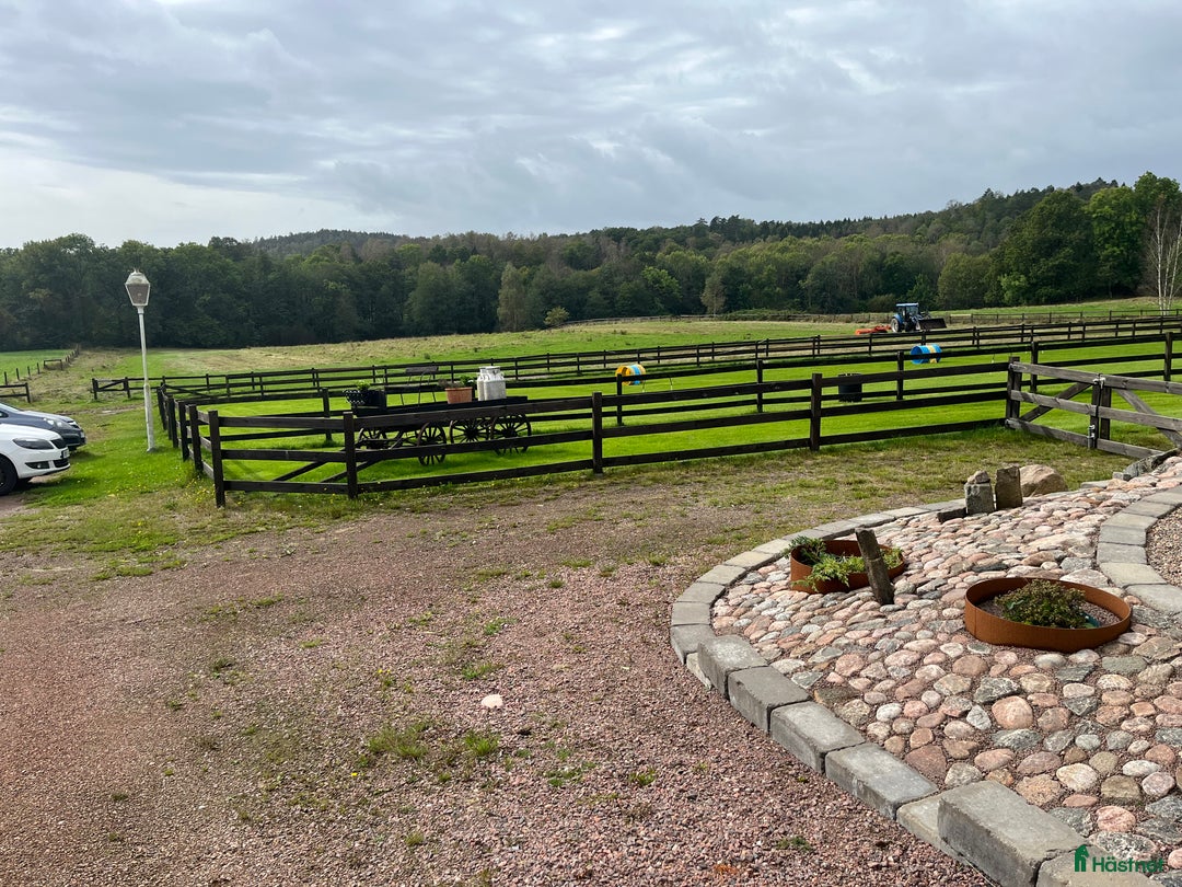  stallplats finnes: Boxplatser lediga på Halleröd Gård i Kungälv - Annons 9