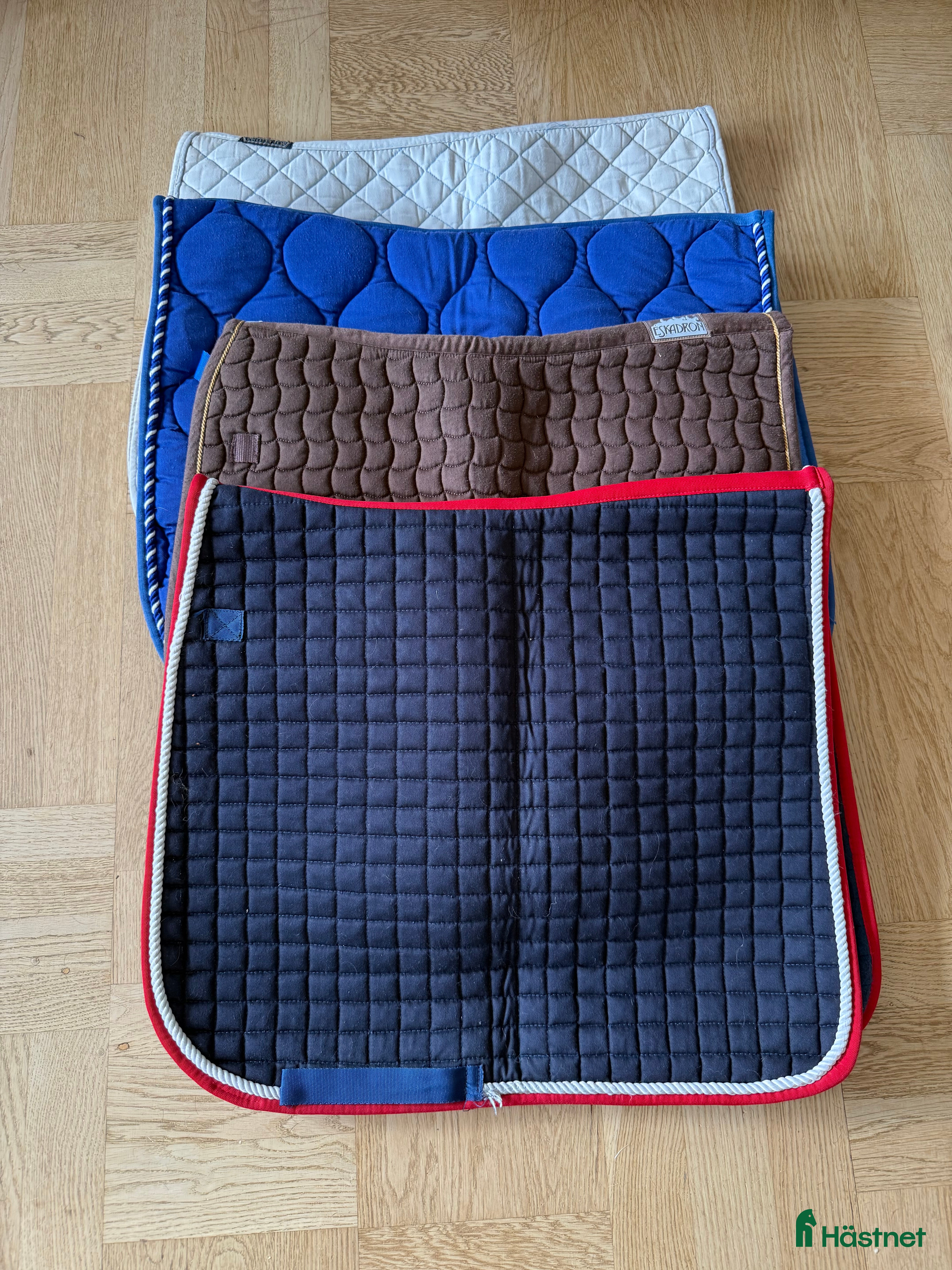 Schabrak & Vojlockar hästutrustning till salu: Div Schabrak i Kungsängen - Annons 4