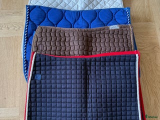 Schabrak & Vojlockar hästutrustning till salu: Div Schabrak i Kungsängen - Annons 10