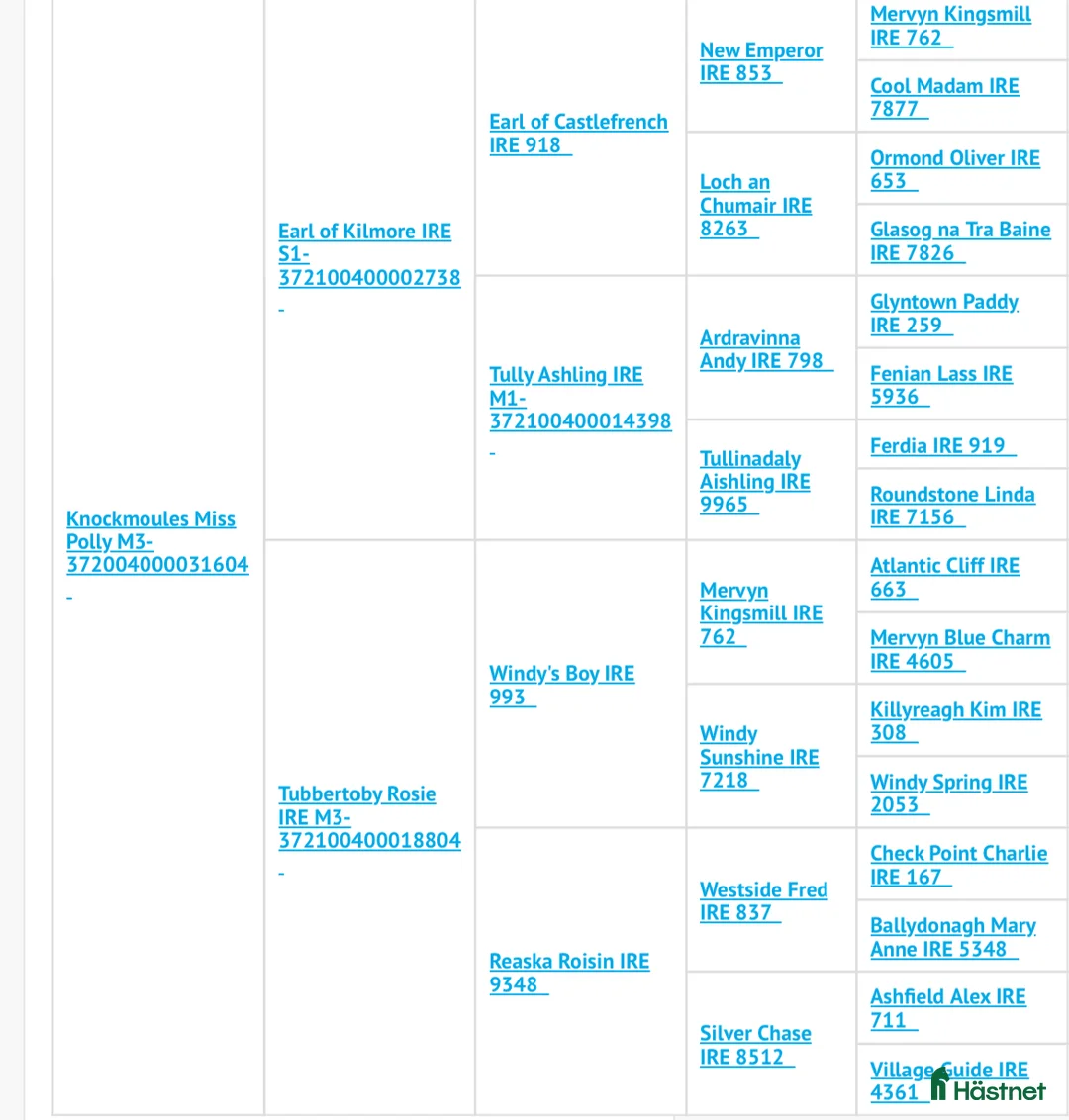 Allround hästar till salu: Sockersöt Connemara  - Annons 13