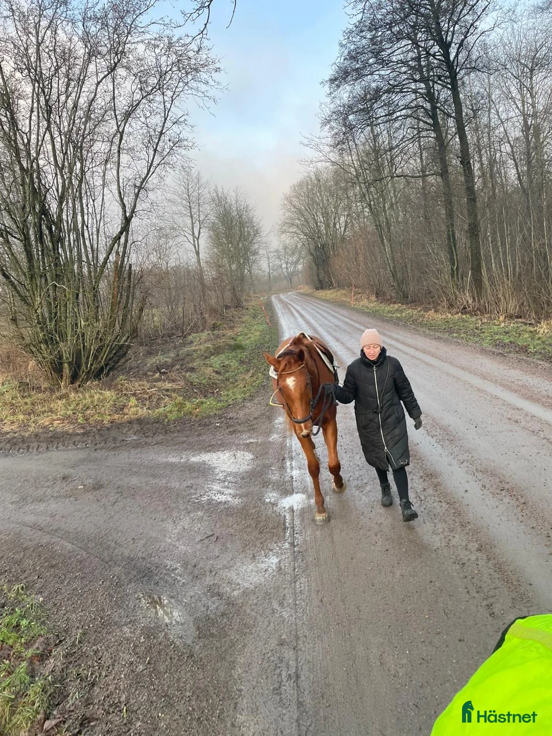 Galleribild {{count}}