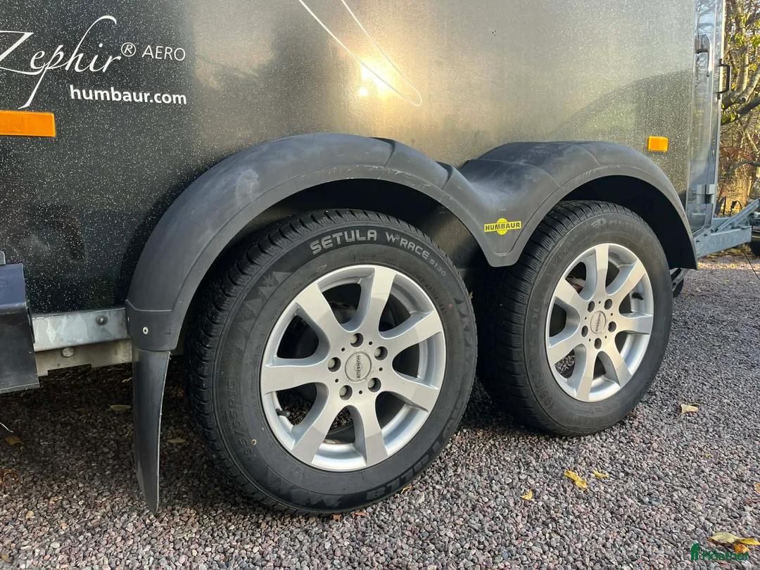 Hästtransporter  fordon & transport till salu: Humbaur Zephir (2013) - Annons 8