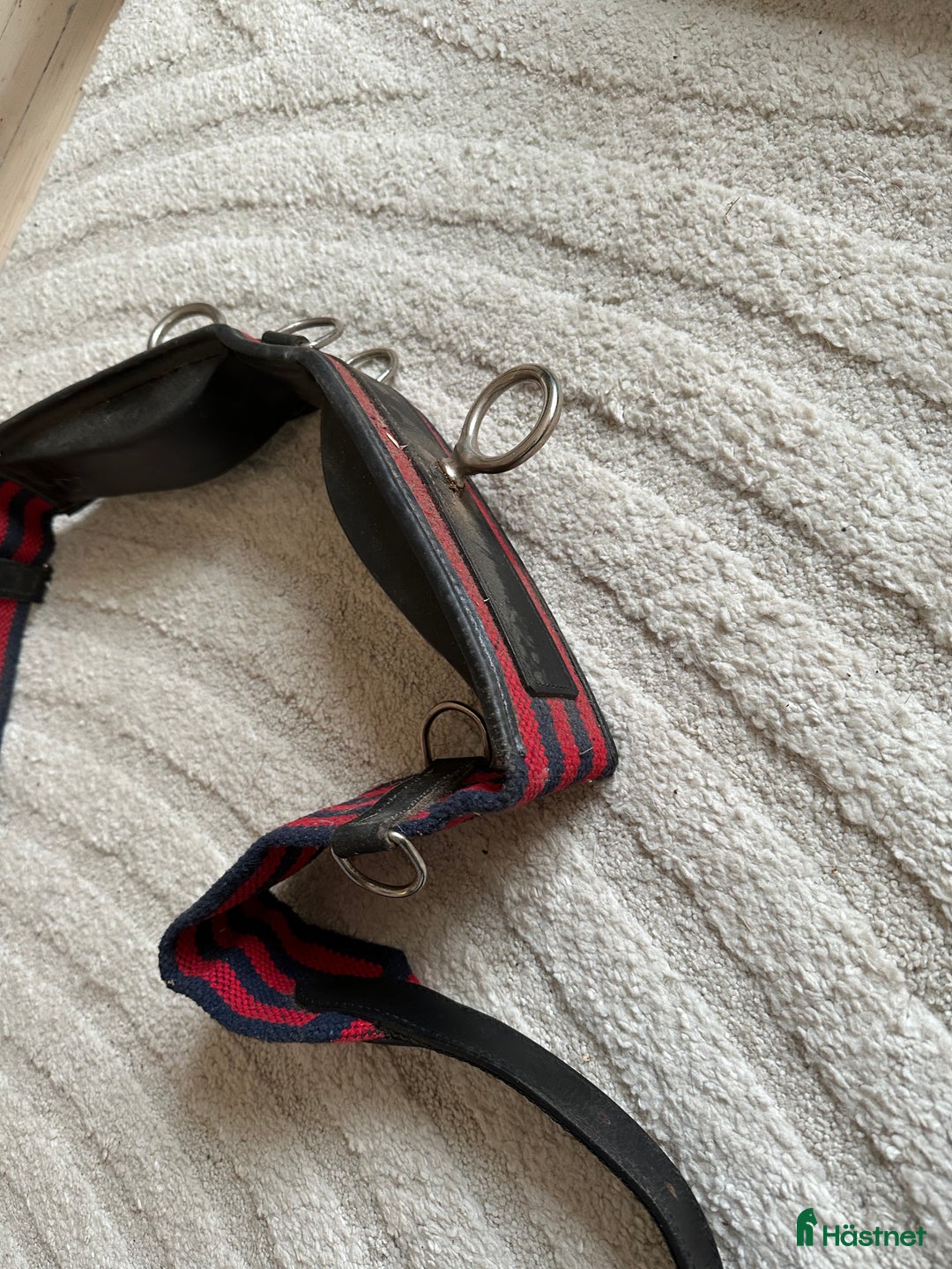 Övrig Hästutrustning hästutrustning till salu: Allt för 100 i Järfälla - Annons 2