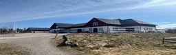 Allround hästar sökes: Blivande ridskolehäst sökes - Annons 2