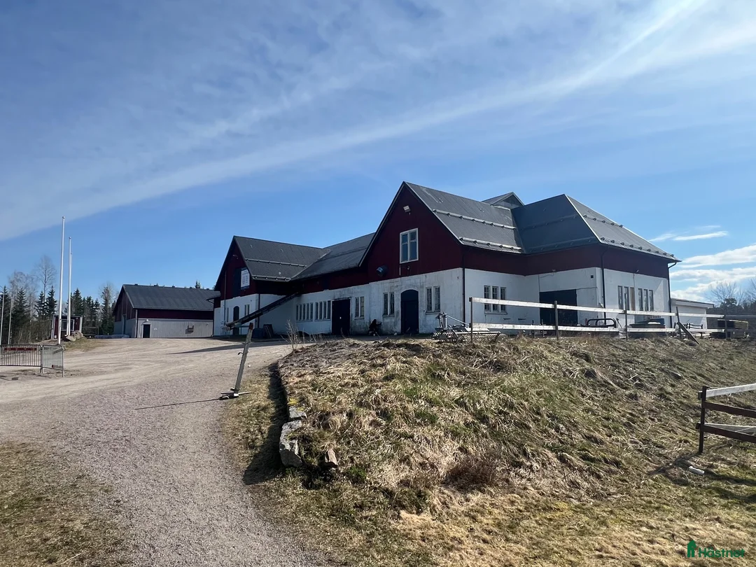 Allround hästar sökes: Blivande ridskolehäst sökes - Annons 2