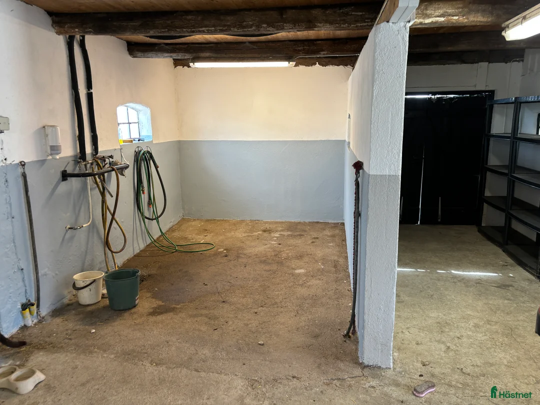  stallplats finnes: Stallplats i lugnt stall i Teckomatorp - Annons 3