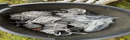Stallinredning, stängsel & gård övrig utrustning till salu: Hagmaterial, stolpar, tråd, elastiska grindar - Annons 3
