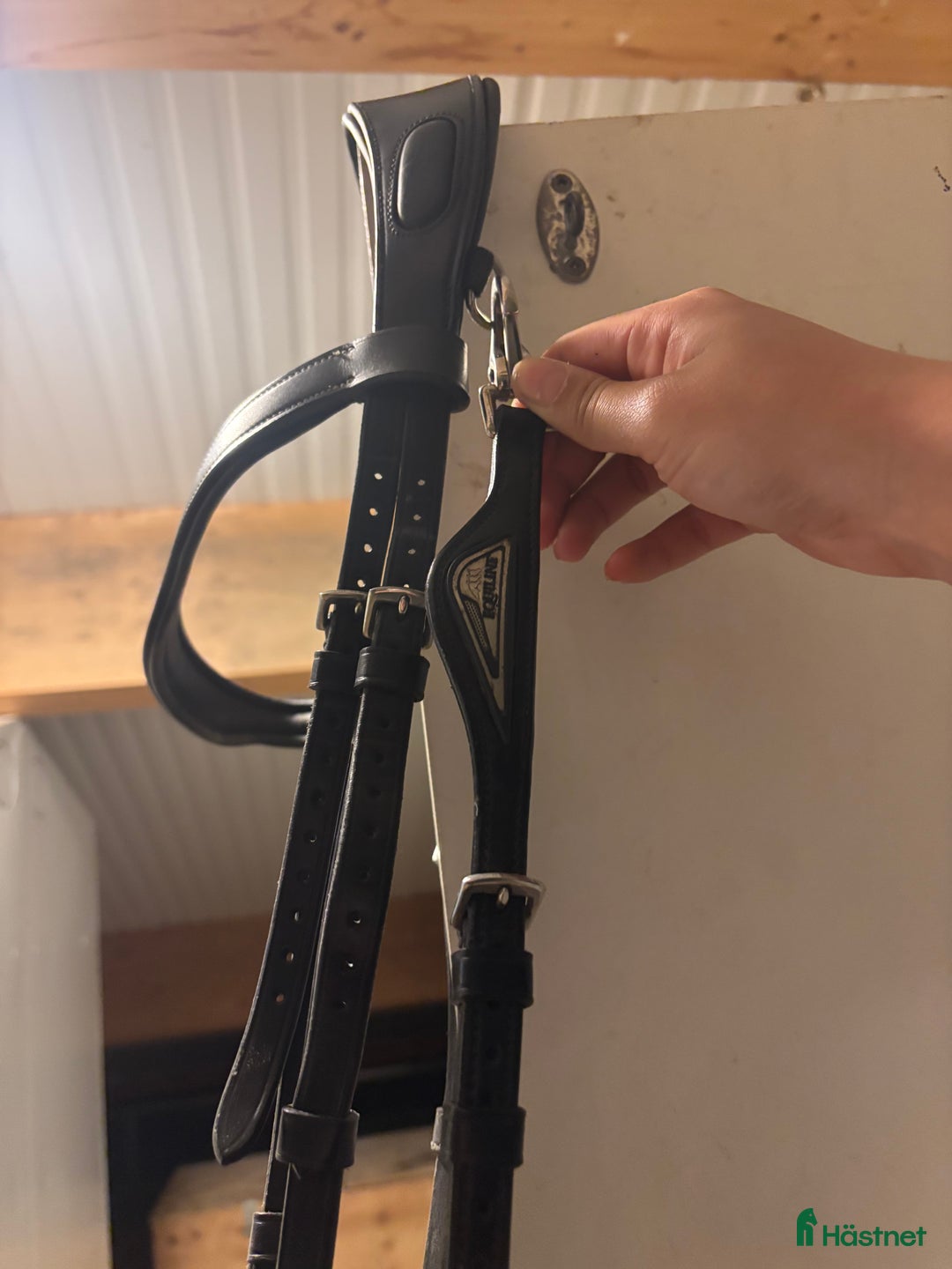 Träns hästutrustning till salu: Equiline träns  i Saltsjö-Boo - Annons 3