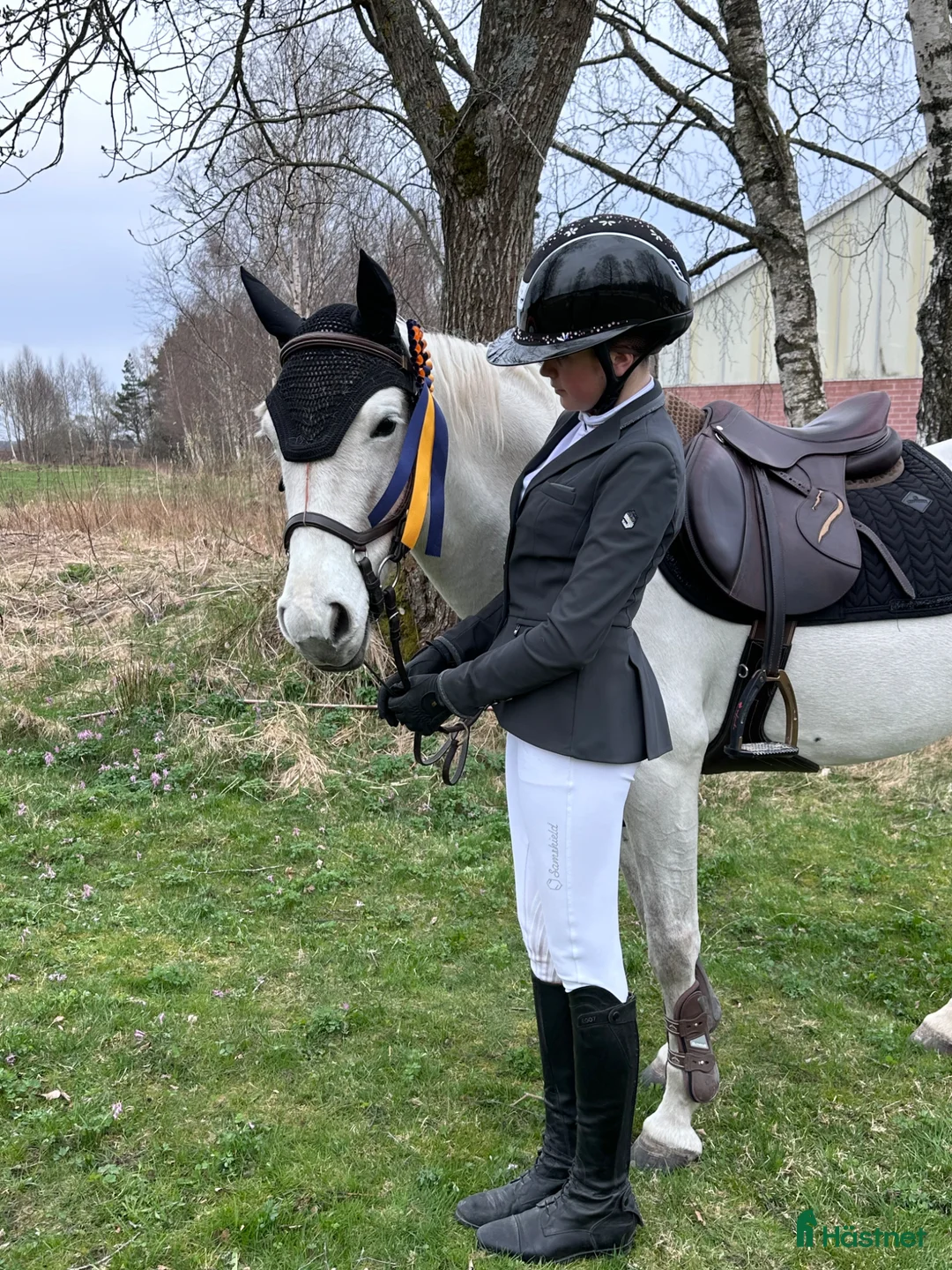 Hoppning hästar till salu: C ponny med rutin i msvb 🌟 - Annons 2