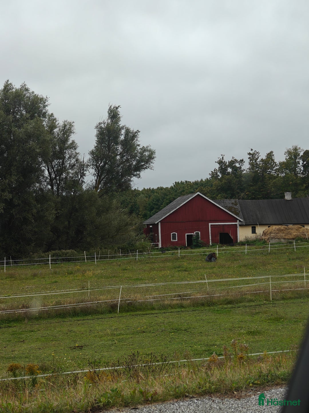  stallplats finnes: Lösdrift Malmö för valack i Malmö - Annons 1