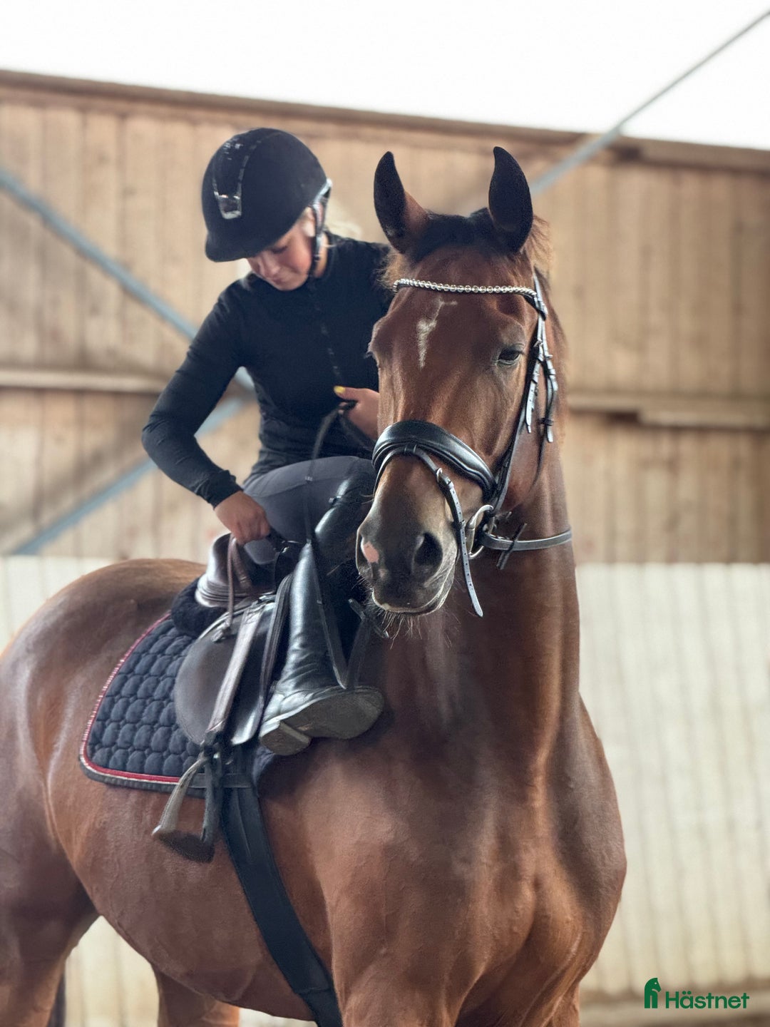  hästservice finnes: Julklappstips! Ridläger sommaren 2026 i Lidköping - Annons 20