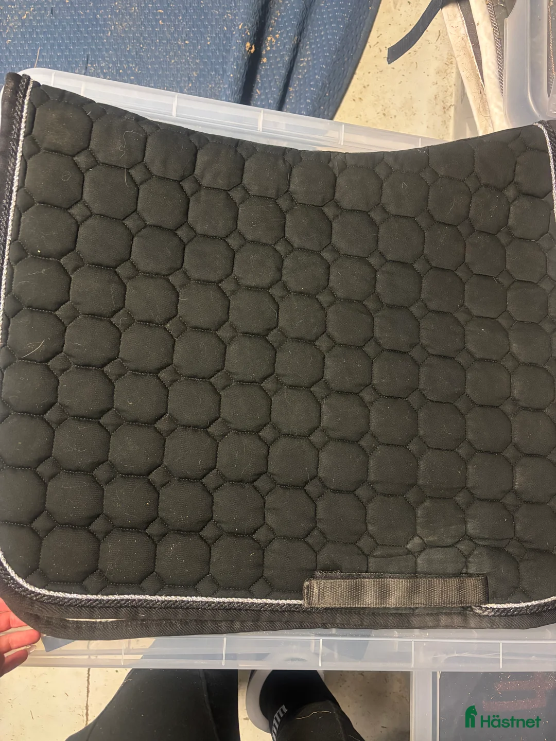 Schabrak & Vojlockar hästutrustning till salu: Equiline schabrak - Annons 2