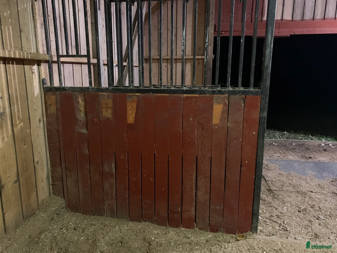 Stallinredning, stängsel & gård övrig utrustning till salu: Box fronter  i Vänersnäs - Annons 3