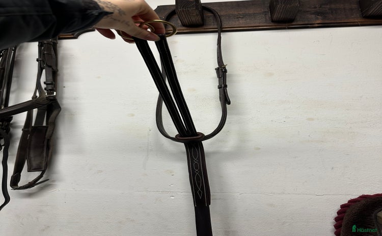 Övrig Hästutrustning hästutrustning till salu i Bollnäs - Annons 20