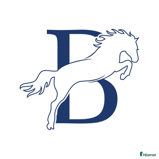 Galleribild {{count}}