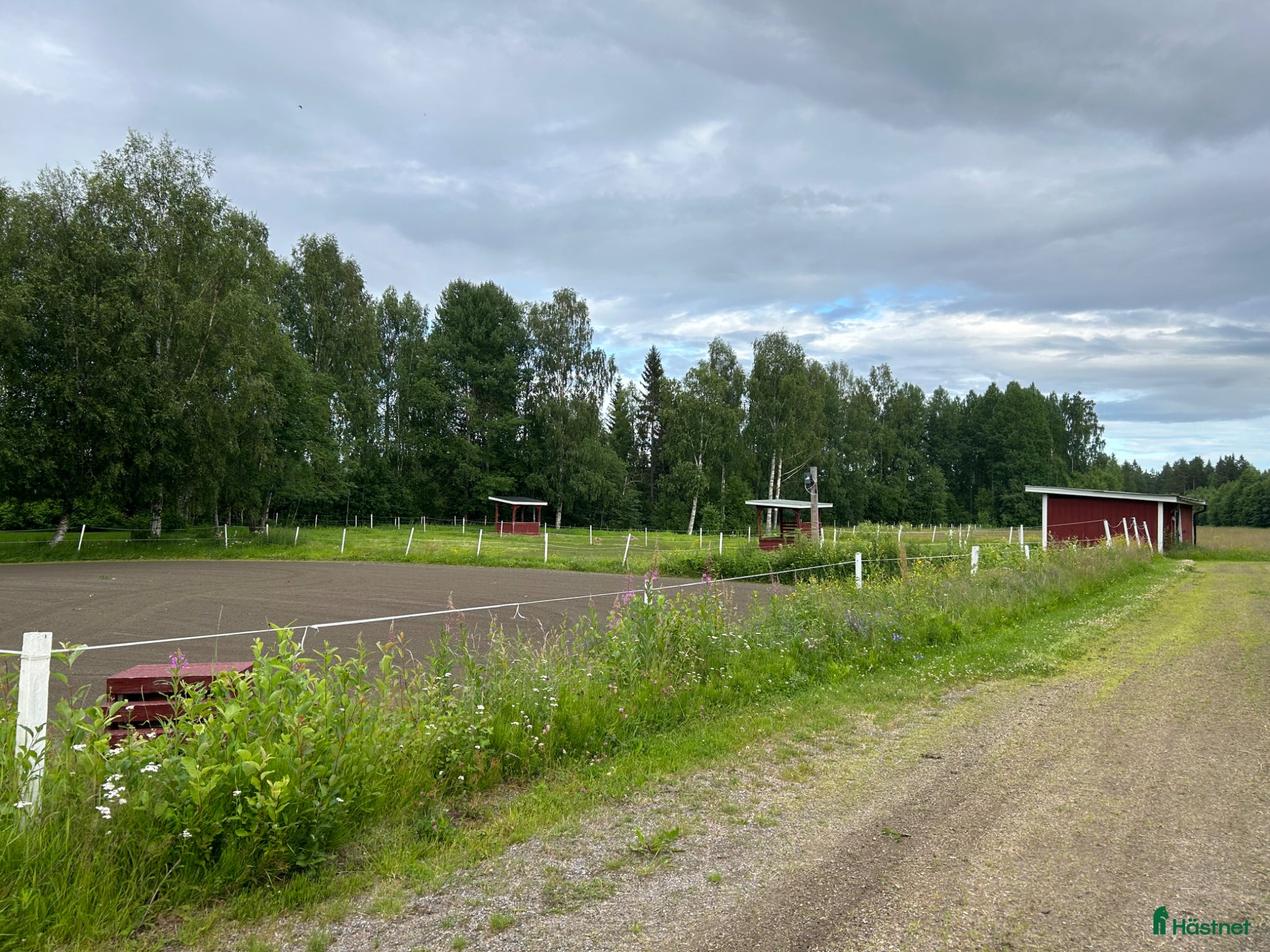  stallplats Bete/lösdrift/stallplats uthyres - Annons 14