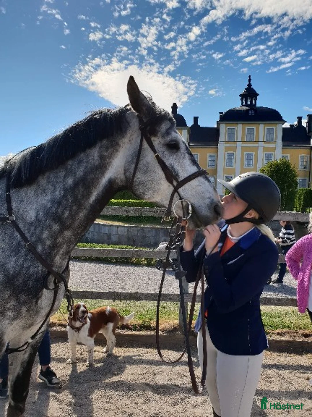  hästservice finnes: Samarbete sökes  i Mariefred - Annons 1