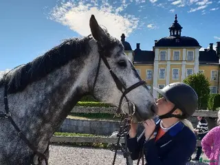 hästservice Samarbete sökes - Annons 11