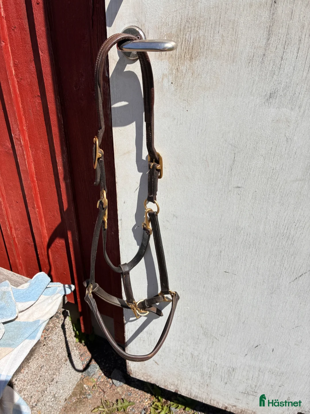 Övrig Hästutrustning hästutrustning till salu: Grimma - Annons 1