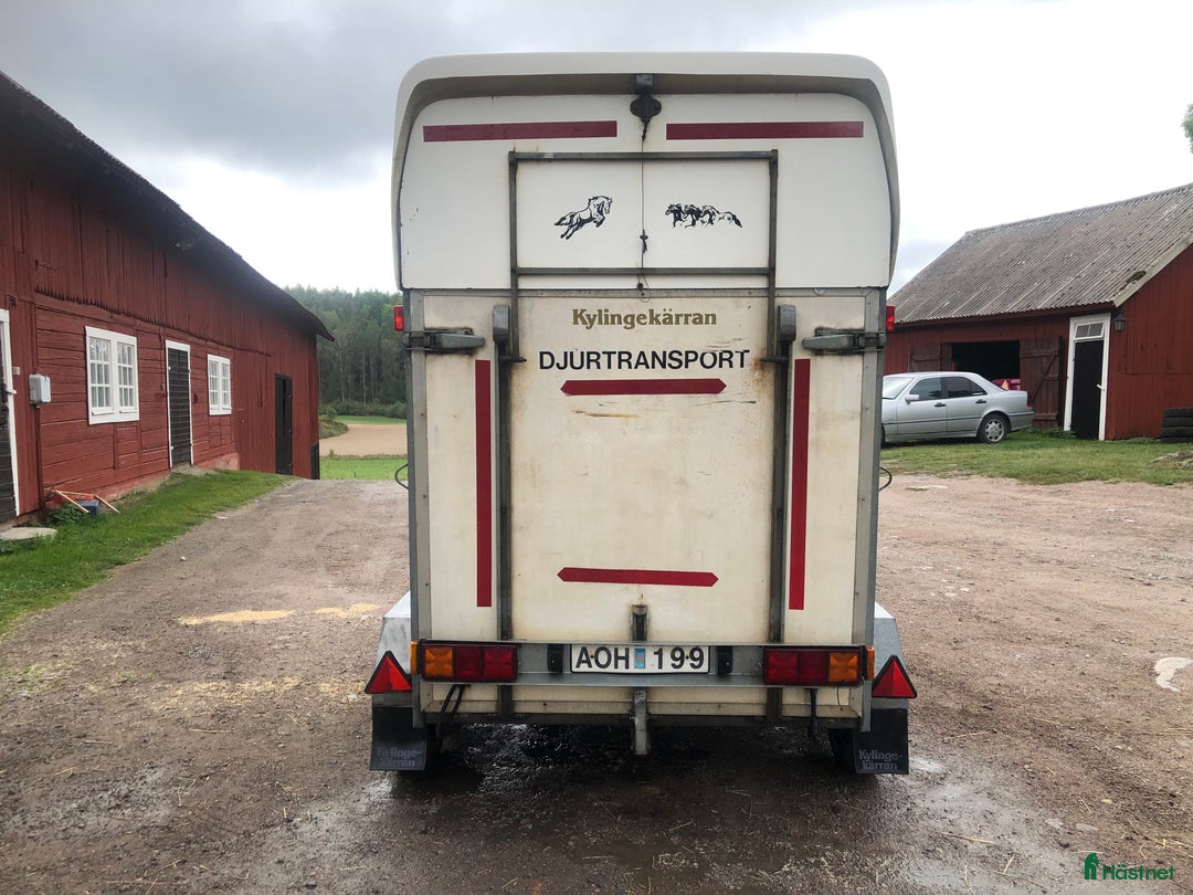 Hästtransporter  fordon & transport till salu: Kylingekärran Apollo 1994 i Åtvidaberg - Annons 3