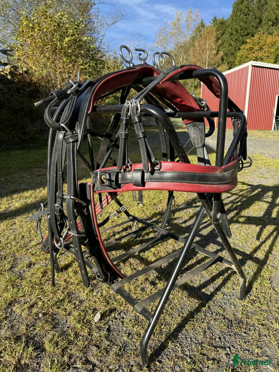 Körsulkys körning till salu: Körsele Sofie & träns till shettis i Perstorp - Annons 1