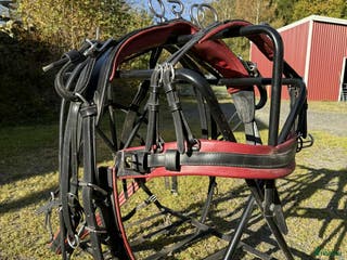 Körsulkys körning till salu: Körsele Sofie & träns till shettis i Perstorp - Annons 4