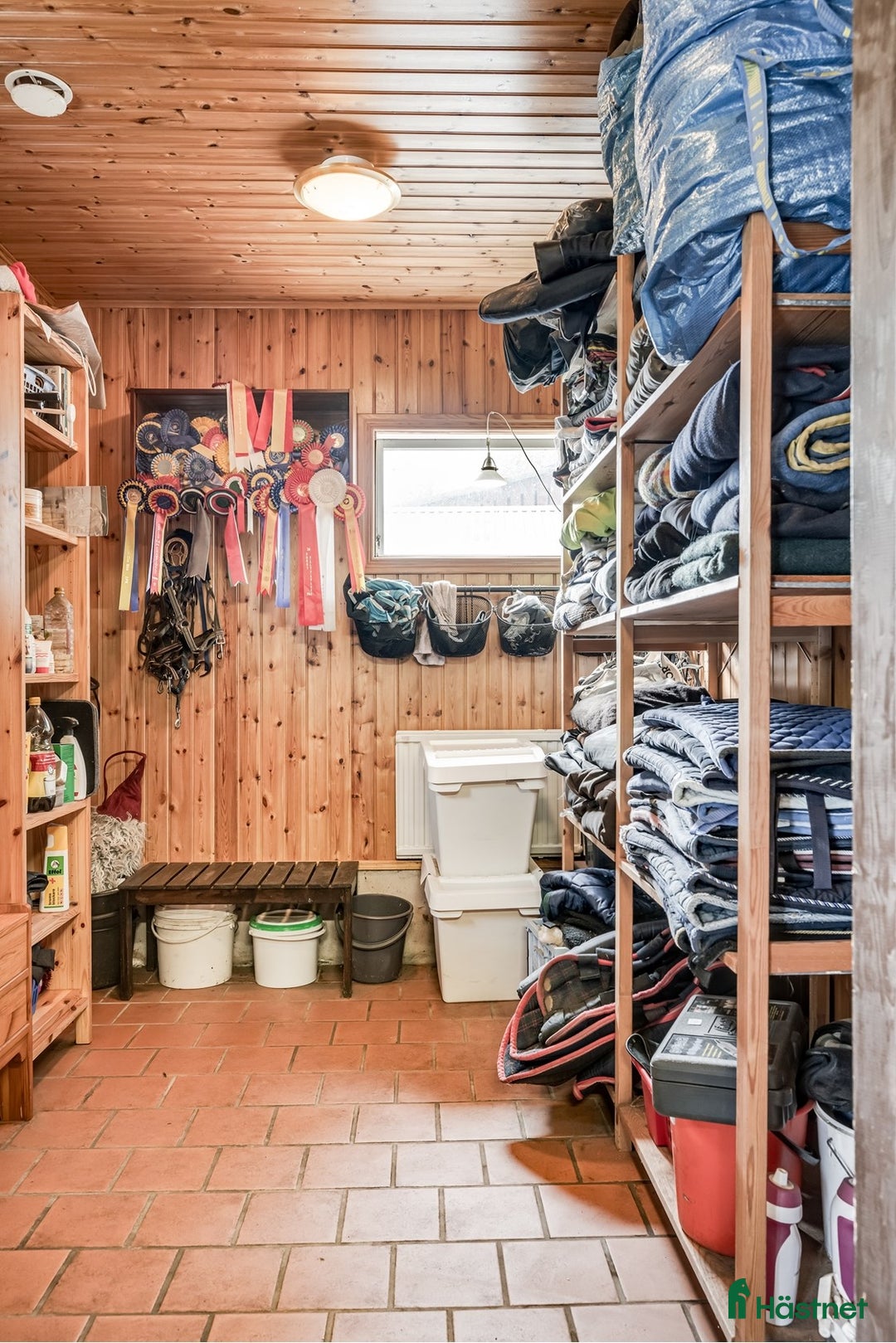  hästgårdar till salu: Hästgård utanför Ljungbyhed i Ljungbyhed - Annons 5