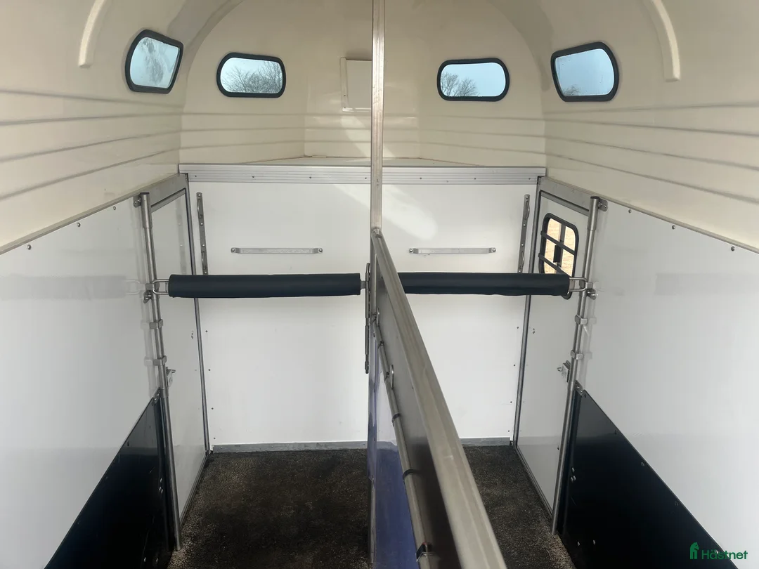 Hästtransporter  fordon & transport till salu: Forzab Futuro SEH20 med momsavdrag - Annons 2