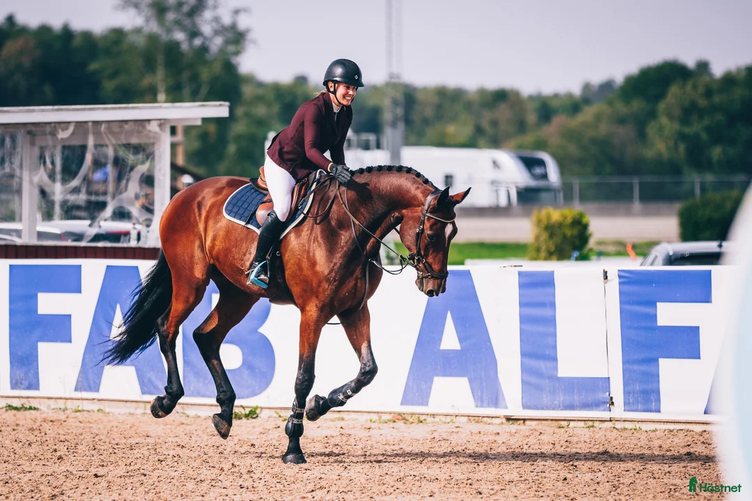 Galleribild {{count}}