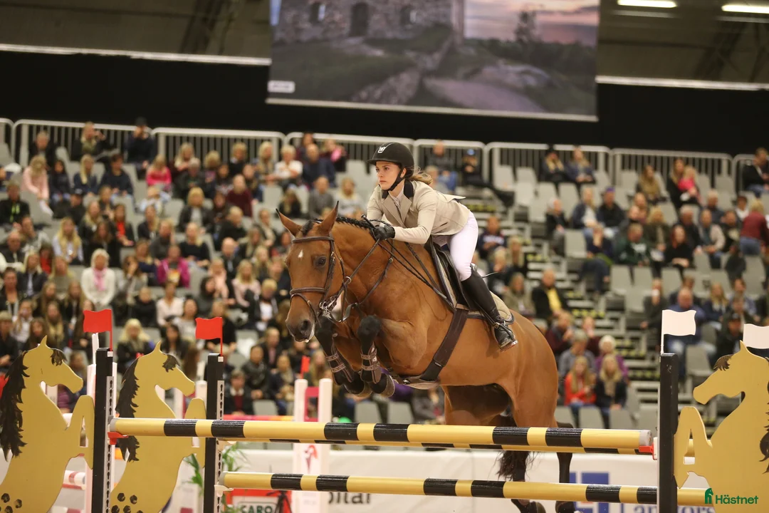 Galleribild {{count}}