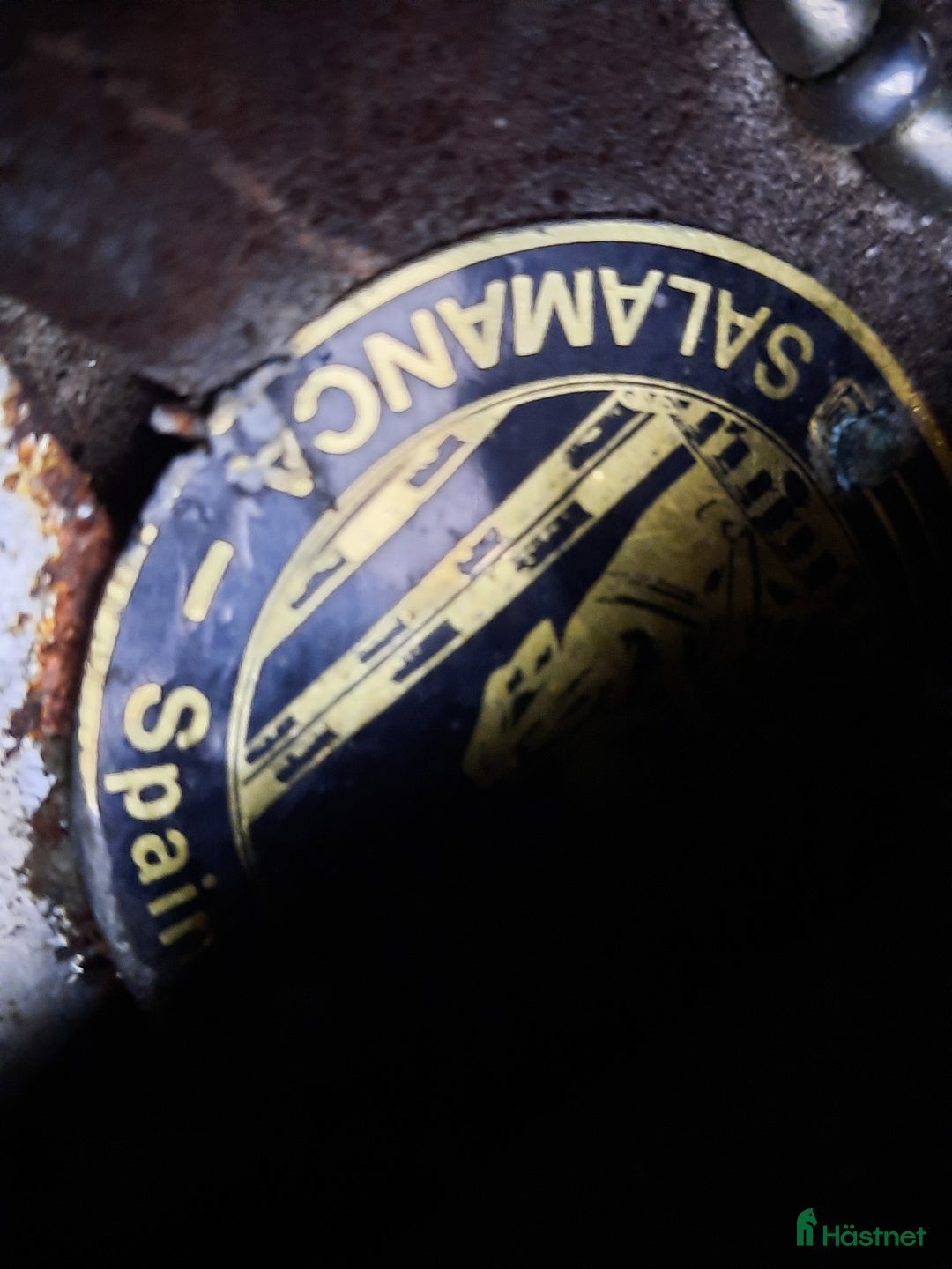 Sadlar hästutrustning till salu: Allround sadel i Munka-ljungby - Annons 2