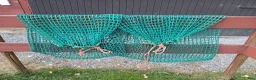 Stallinredning, stängsel & gård övrig utrustning till salu: Slowfeeder hönät - Annons 1