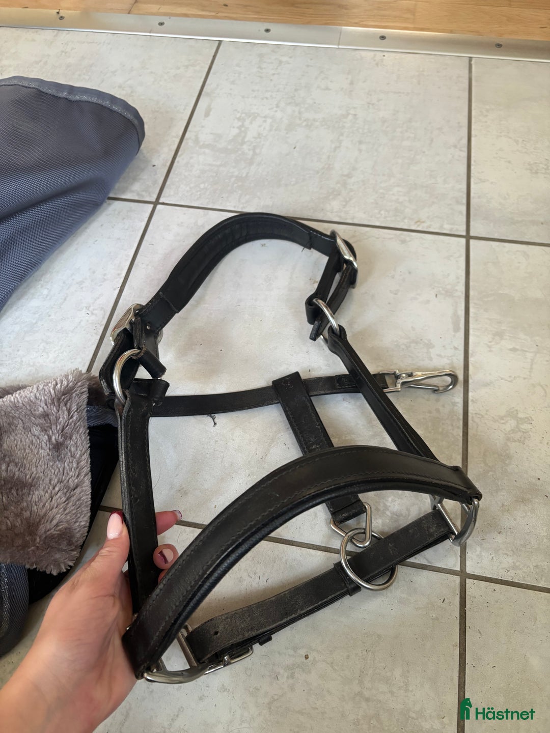Övrig Hästutrustning hästutrustning till salu: Grimmor i Härryda - Annons 3
