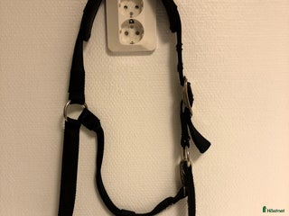 Övrig Hästutrustning hästutrustning till salu: Grimma storlek full i Landvetter - Annons 3