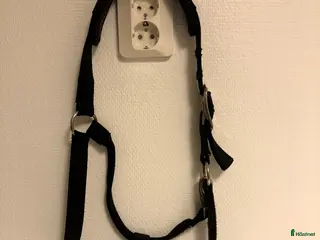 Övrig Hästutrustning hästutrustning till salu: Grimma storlek full i Landvetter - Annons 3