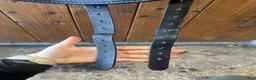 Sadlar hästutrustning till salu: EQUES Gold by Black Edition 17” Latex - Annons 8