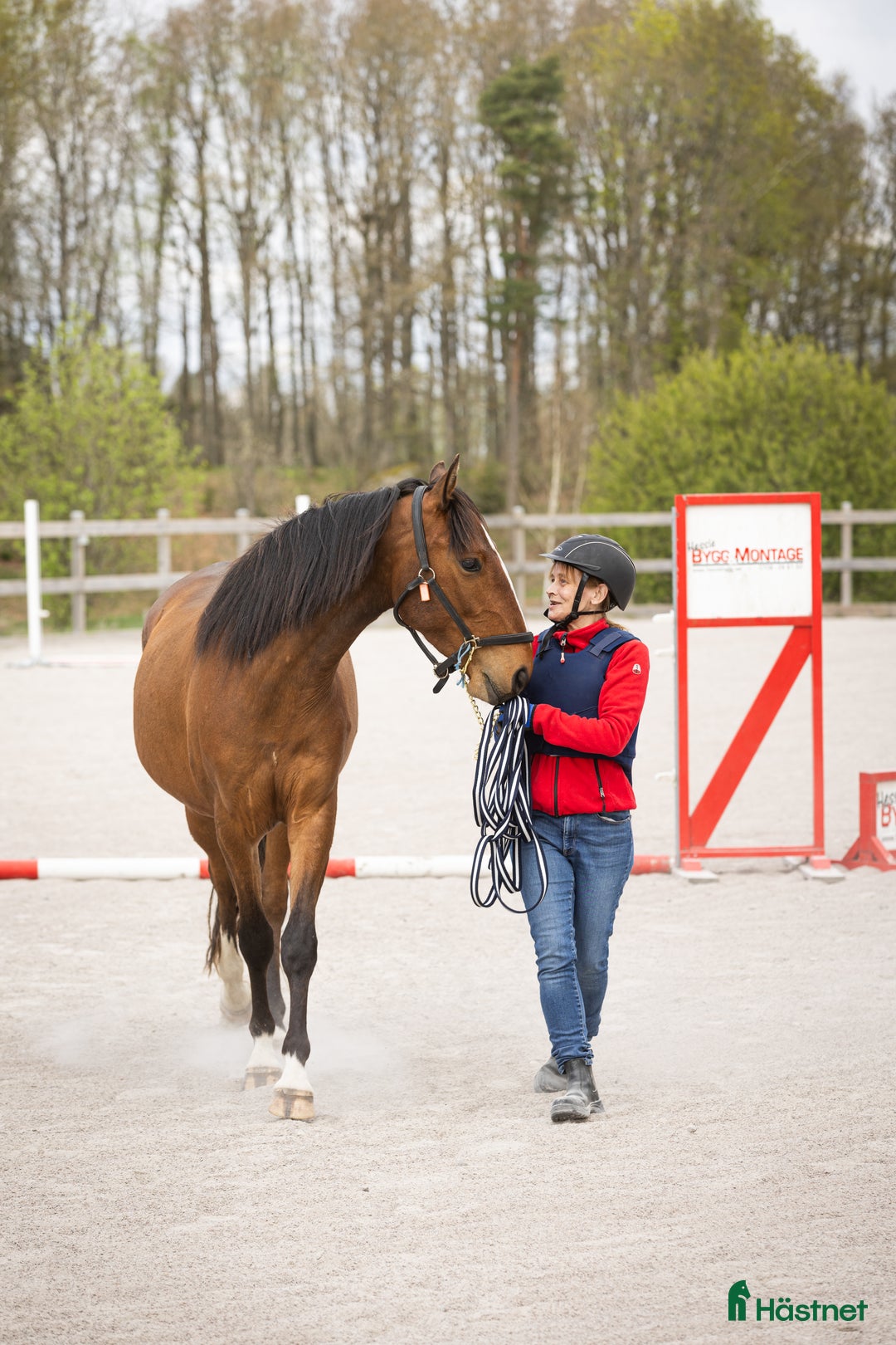 Allround hästar till salu: Riktig charmör som älskar livet. i Hässleholm - Annons 3