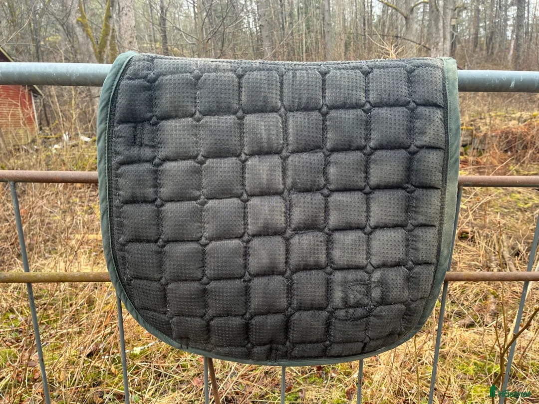 Schabrak & Vojlockar hästutrustning till salu: Dressyrschabrak strl full - Annons 2