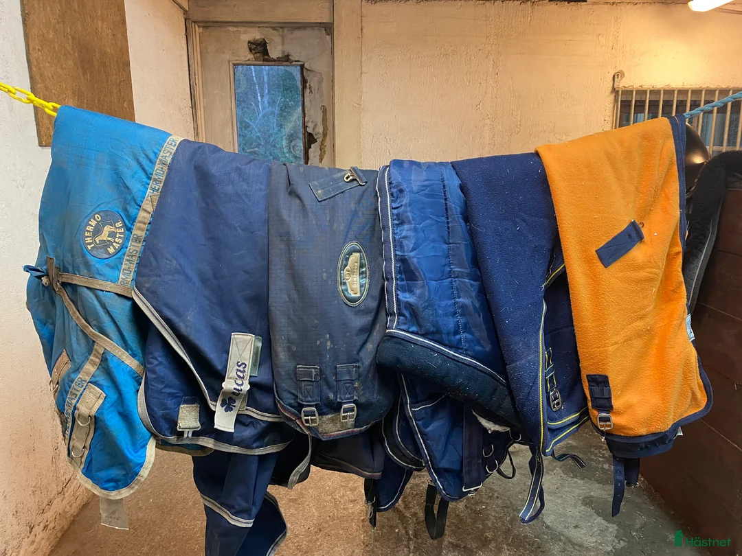 Övrig Hästutrustning hästutrustning till salu: Sadel, kandar, ”höhäck” och täcke - Annons 6