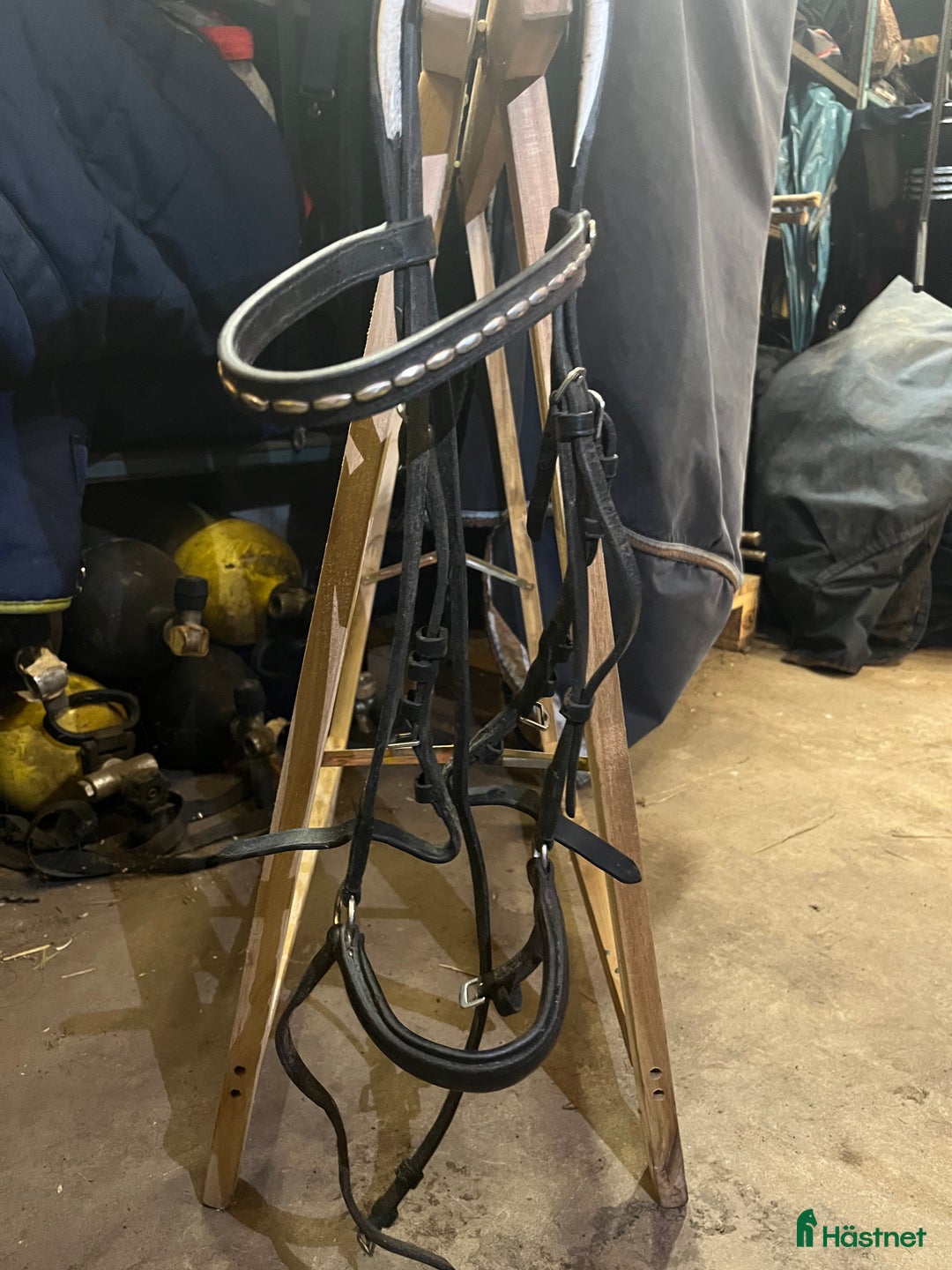 Träns hästutrustning till salu: Träns  i Norrköping - Annons 1