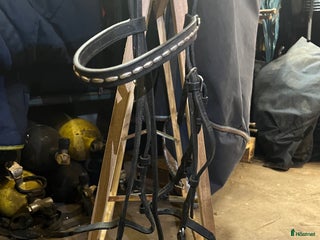 Träns hästutrustning till salu: Träns i Norrköping - Annons 22