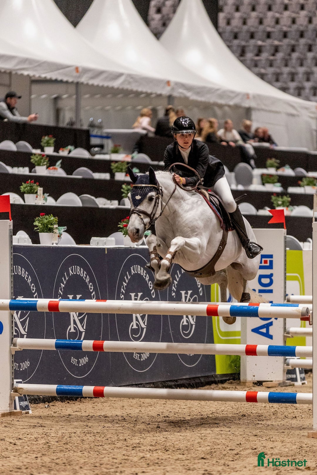 Hoppning hästar till salu: Topp kat.1 ponni til salgs i Bryne - Annons 1