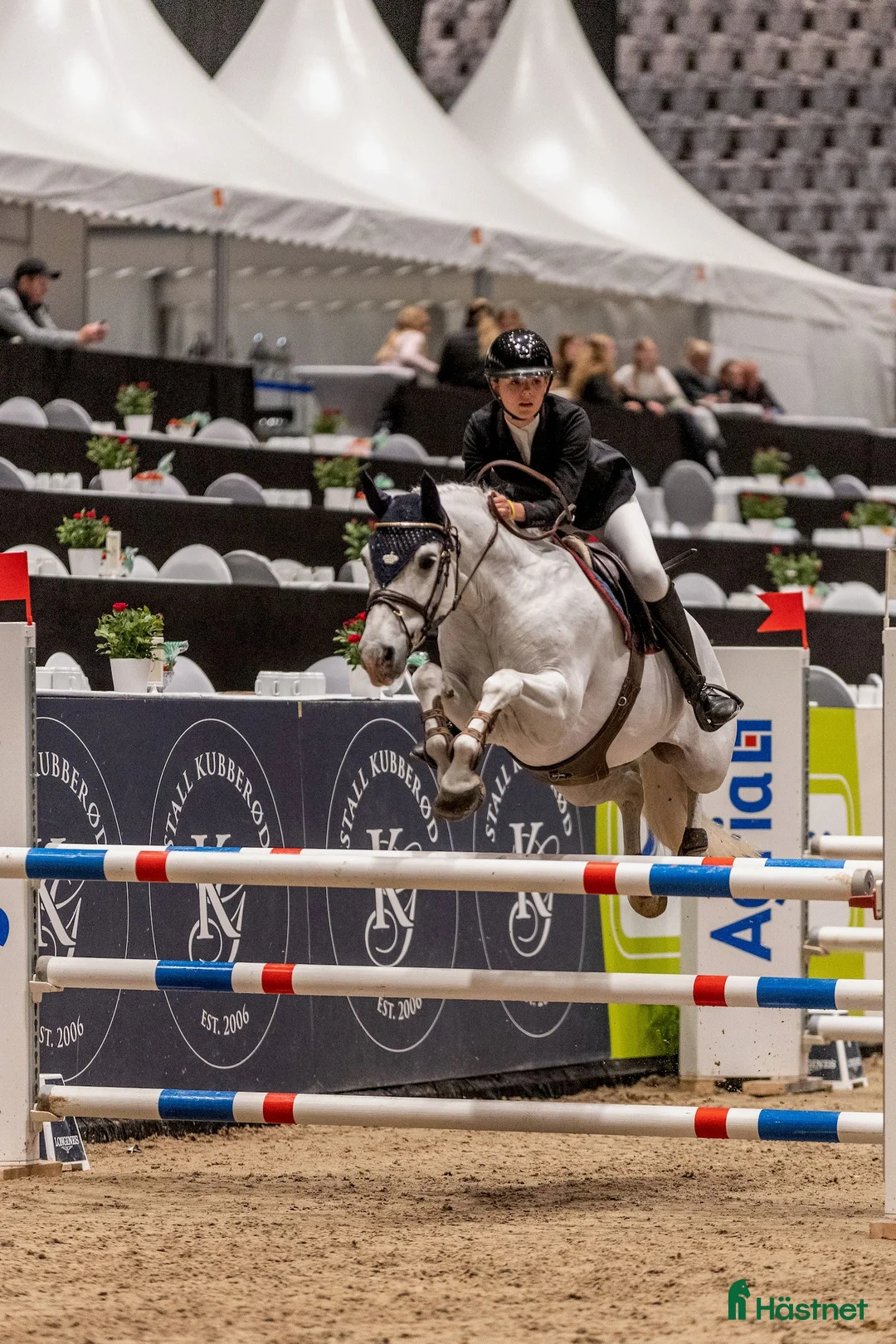 Hoppning hästar till salu: Topp kat.1 ponni til salgs i Bryne - Annons 1
