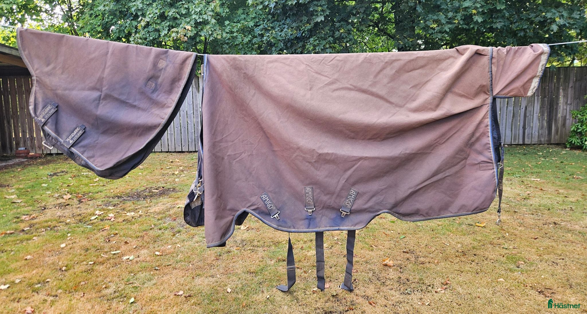 Täcken hästutrustning Horseware Amigo Plus 0 g - Annons 5