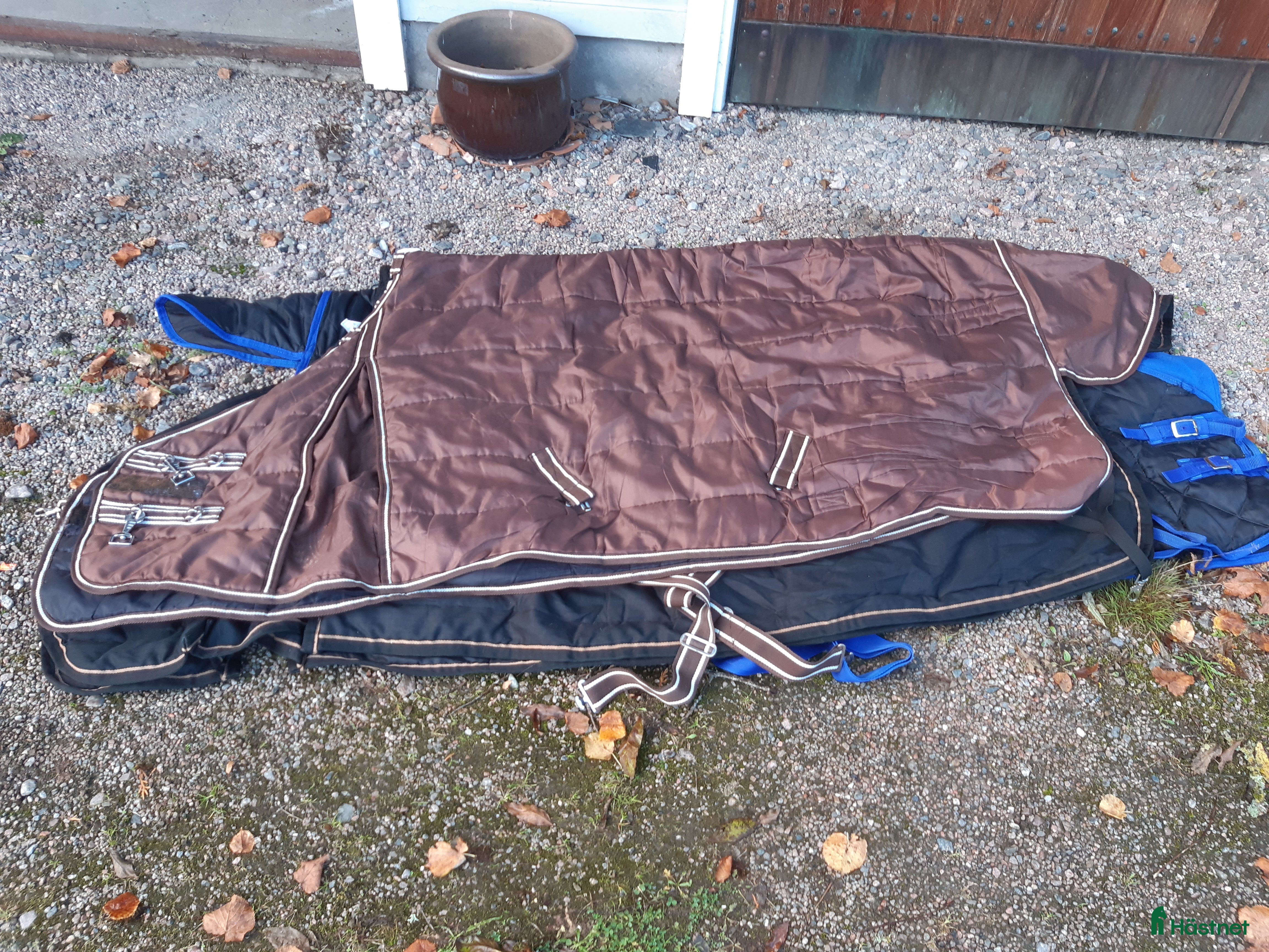 Täcken hästutrustning till salu: Stalltäcke från Hööks stl 135 men mer som 140-145 i Sollebrunn - Annons 17