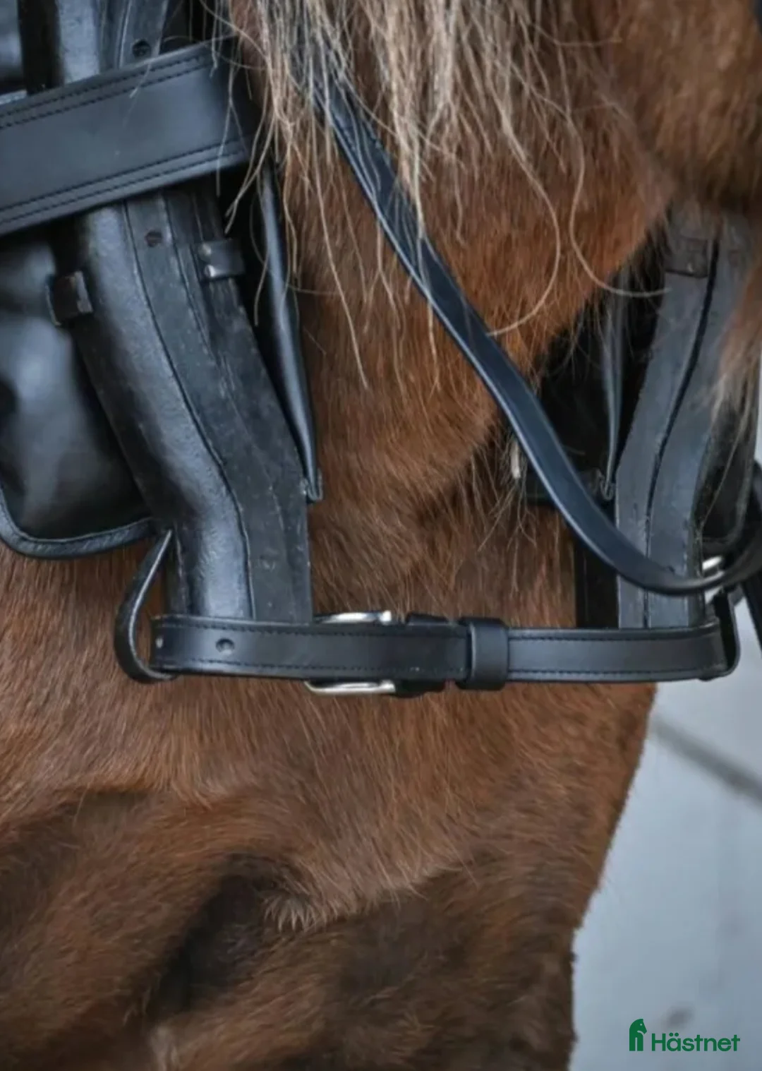 Körselar körning till salu: Fin loksele  - Annons 2