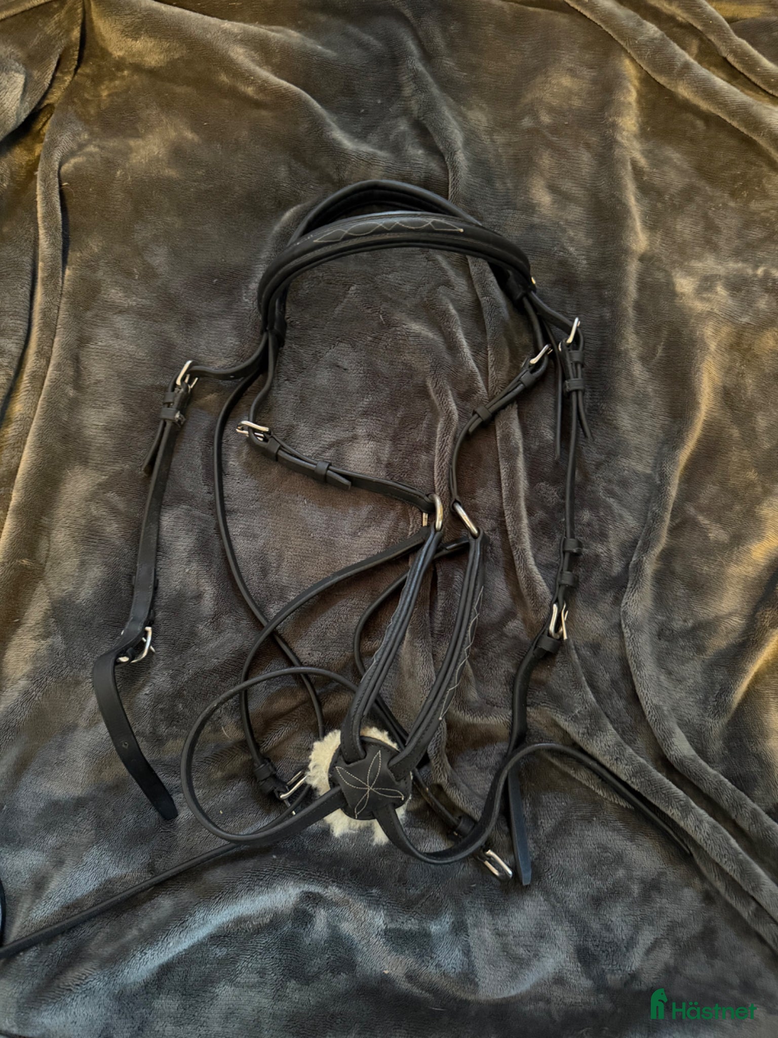 Träns hästutrustning Treadstone pullarträns - Annons 5