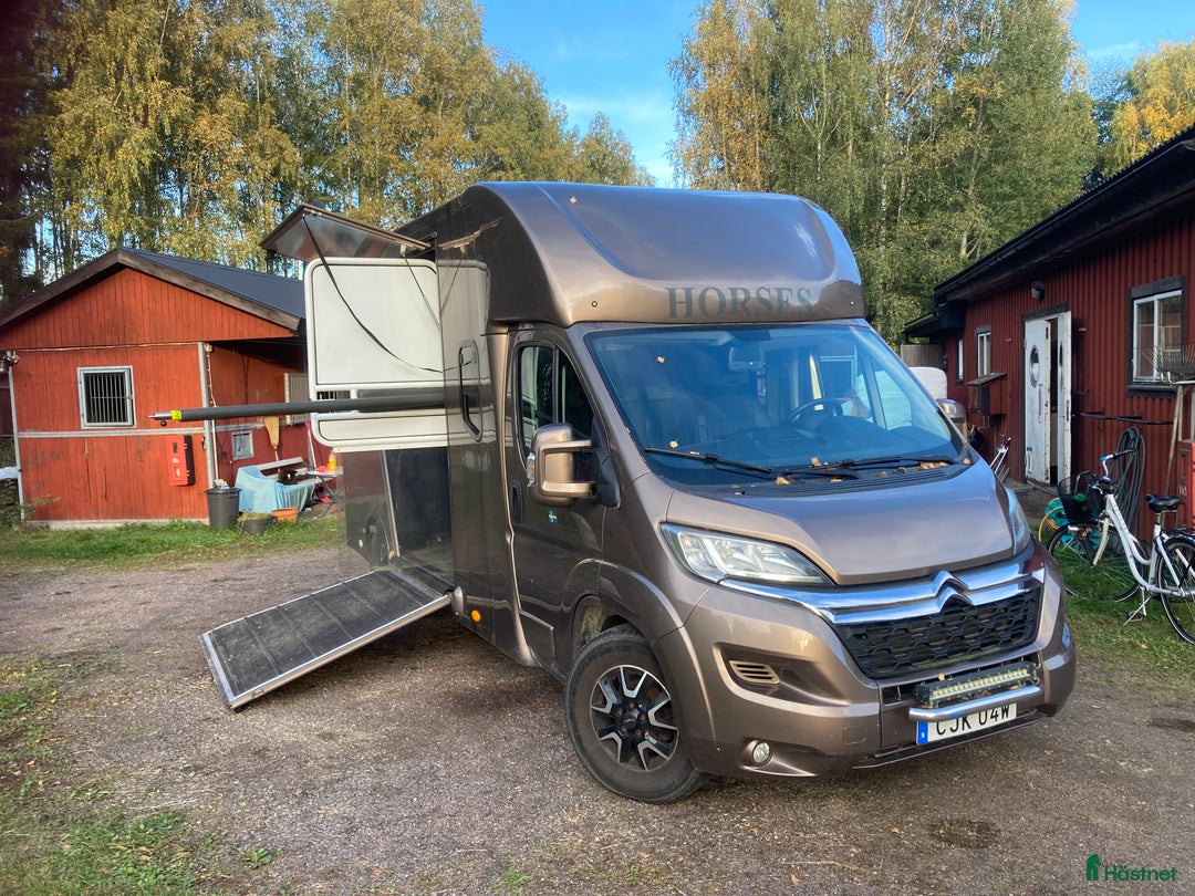 Hästlastbilar  fordon & transport till salu: Hästbuss B-kort i Karlstad - Annons 2
