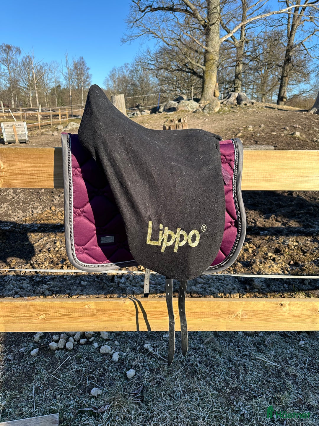 Sadlar hästutrustning till salu: Lippo Vanessa 17,5 Dressyr i Kalmar - Annons 8